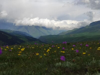 Прикрипленное изображение