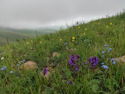 Прикрипленное изображение