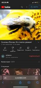 Прикрипленное изображение