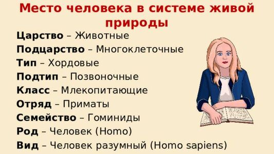 Прикрипленное изображение