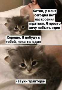 Прикрипленное изображение