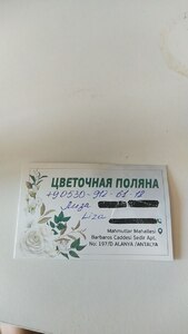 Прикрипленное изображение