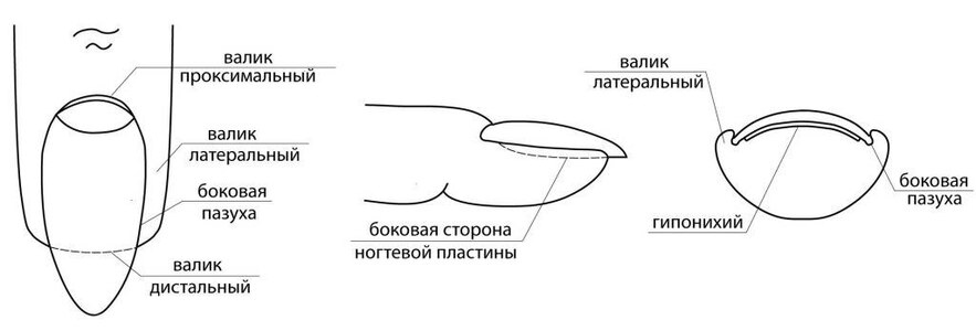 Прикрипленное изображение