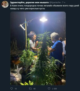 Прикрипленное изображение